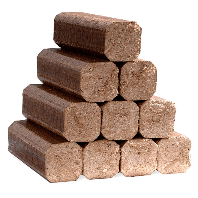 Pack of 10 Fire Logs