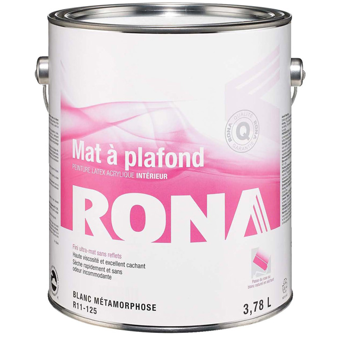 Peinture d'intérieur à plafonds « Fini mat »