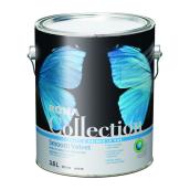 Interior Latex Paint and Primer