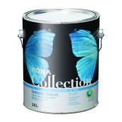 Interior Latex Paint and Primer