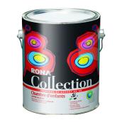 Interior Latex Paint and Primer - Children's Room