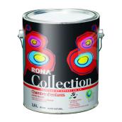 Interior Latex Paint and Primer - Children's Room