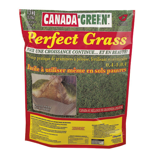 Semence à gazon « Perfect Grass »