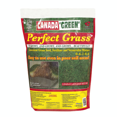 Grass Seed - "Perfect Grass" Grass Seed