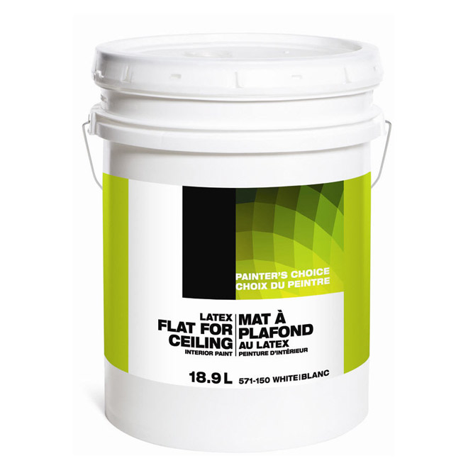 Latex ceiling paint