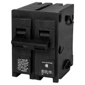 120/240 VAC 100 A Circuit Breaker 2 Poles Plug-In