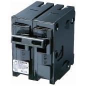 120/240 VAC 60 A Circuit Breaker 2 Poles Plug-In