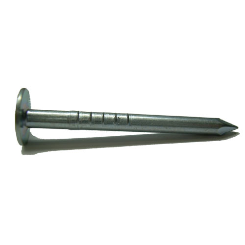 Clous à toiture, électro-galvanisé, 1 1/2", Bte/100