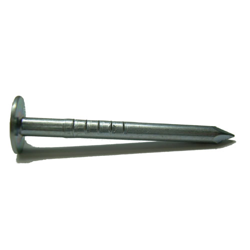 Clous à toiture, électro-galvanisé, 1 1/2", Bte/825