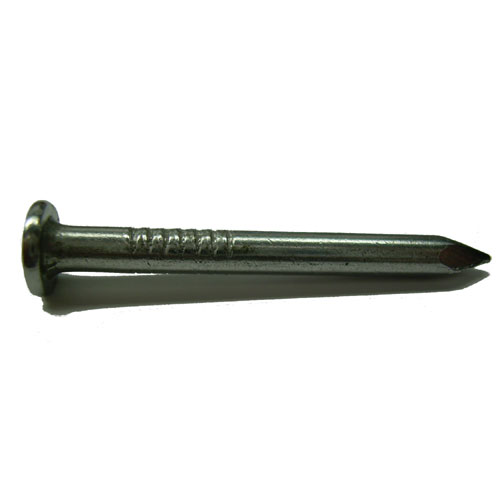 Clous pour suspensoir, galvanisé, 1 1/4", Bte/115