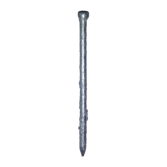 Clous de finition brillant, 2 1/2", 50 lb