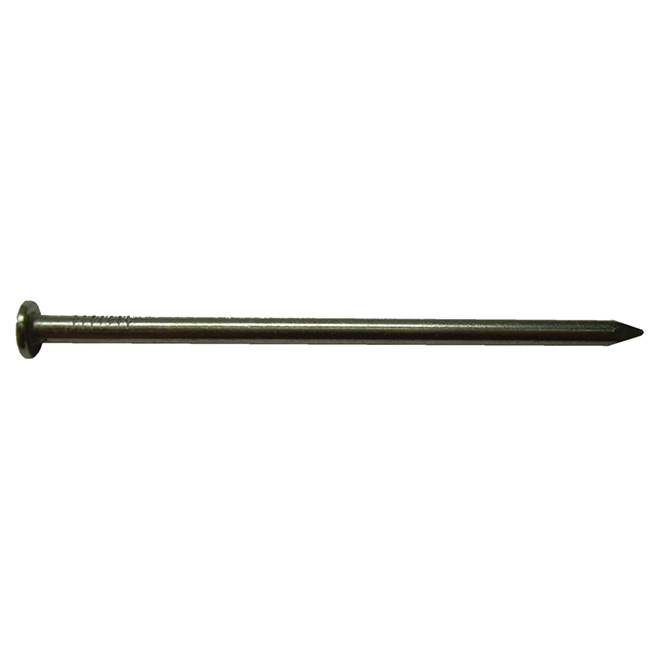 Clous communs brillant, 3", 25 lb