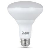 Réflecteur BR30 E26, intensité variable, blanc doux, 2/pqt