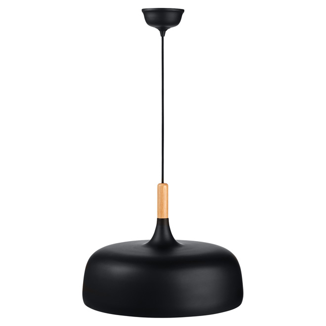 "Loft" 1-Light Pendant Light - 19" - Matte Black