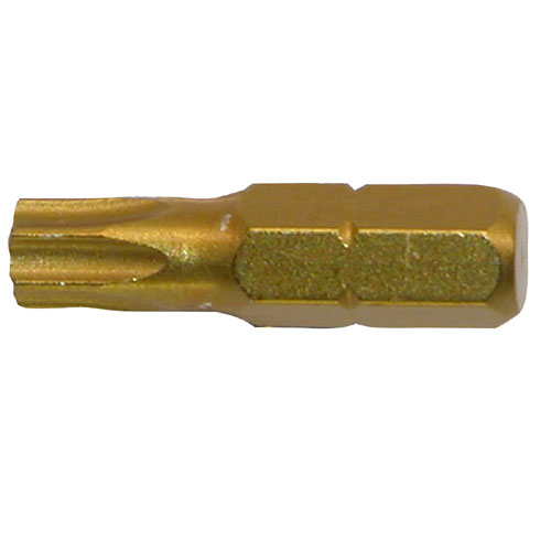 1-IN #30 TORX SCREWDRIVER BIT