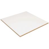 Embassy Ceiling tile - 24