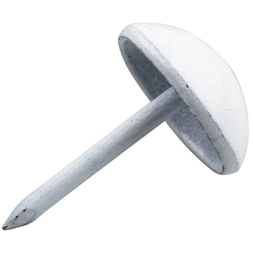 Upholstery Nails - Round Head - White - 25/Pk