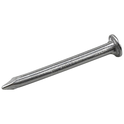 Clous ordinaire en acier, 19CA, 1/2", Pqt/523