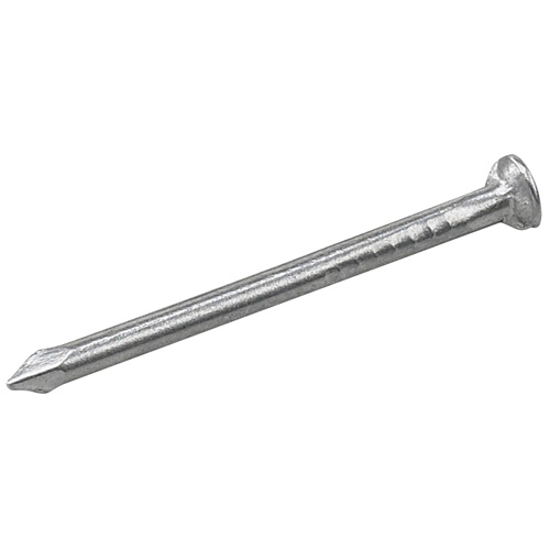 Clous ordinaire en acier, 19CA, 3/4", Pqt/287