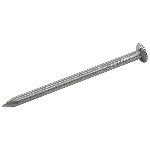 Clous ordinaire en acier, 18CA, 7/8", Pqt/262