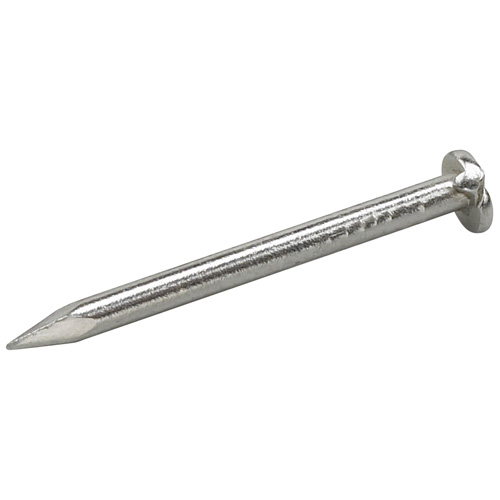 Clous ordinaire en inox, 17CA, 3/4", Pqt/143