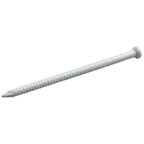 Clous à panneau, blanc, 1 5/8", Bte/45