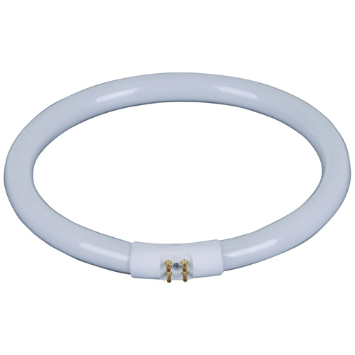 Tube fluorescent circulaire Vision Max, 22W, lumière du jour