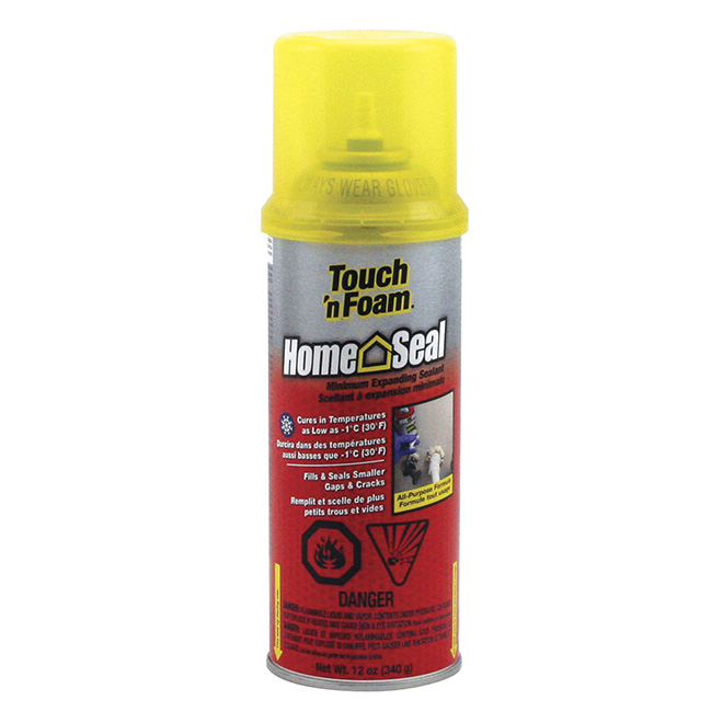 "Home Seal" Expanding Foam Sealant RONA