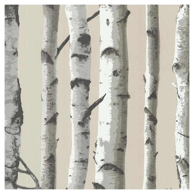 Wallpaper - Birch Forest - 20" x 33' - Grey and White