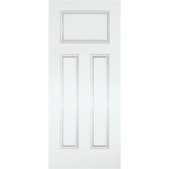 Exterior Steel Door - 36 x 79"