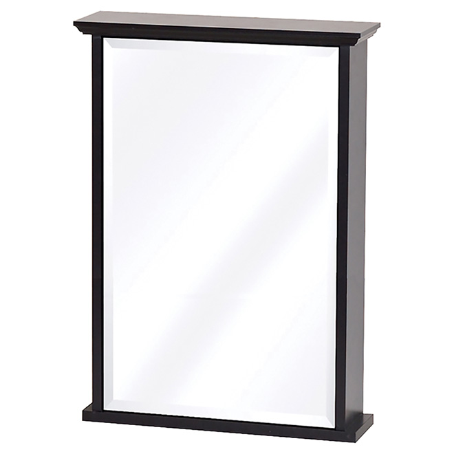Mirrored Medecine Cabinet