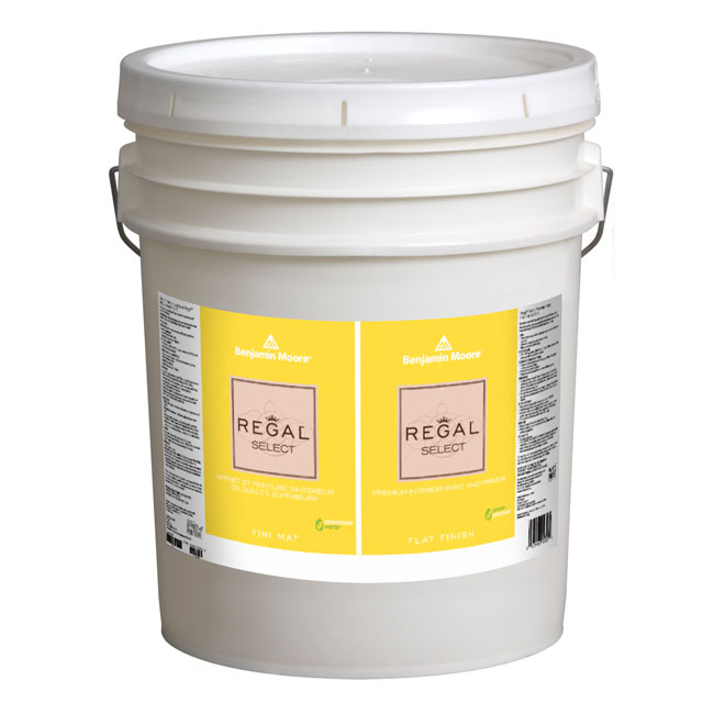 Peinture d'intérieur à base d'eau, fini mat, 18,93 l