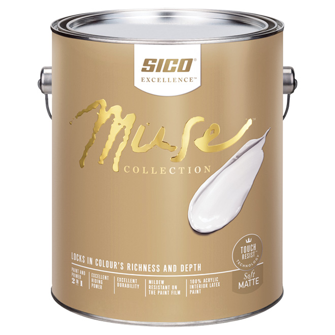 Interior Latex Paint and Primer