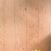 Wood Siding Panel with a Cedar Finish - 4' x 8'