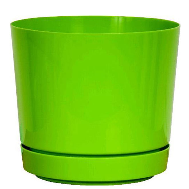 8-in Pot and Saucer - Green