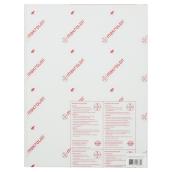 Makrolon® Polycarbonate 3 mm Panel - 18