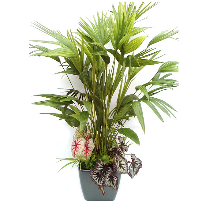 "Classic Opulence" Tropical Arrangement