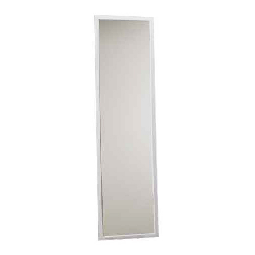 Door Mirror