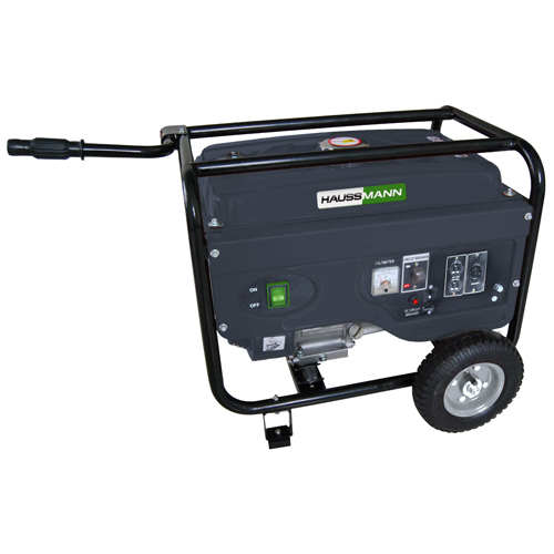 3.9-G Portable Generator