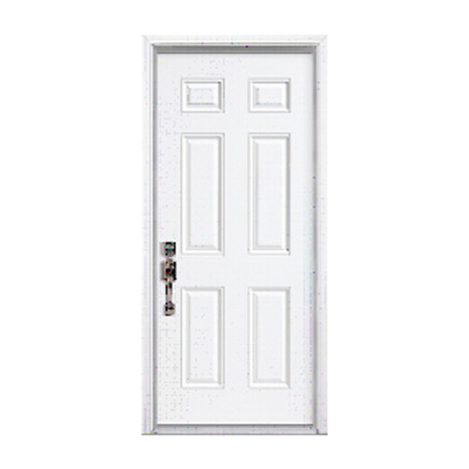 Steel Entry Door