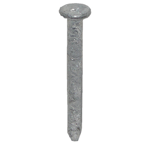 Clous pour suspensoir, galvanisé, 1 1/2", 1 lb