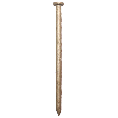 Common Nails - Gold Coat - 3 1/2" - 24/Box
