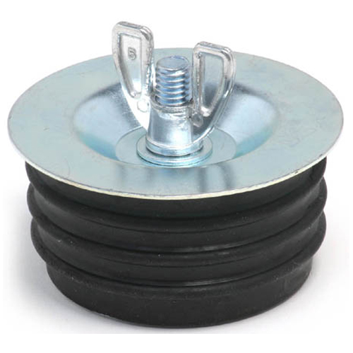 Test plug