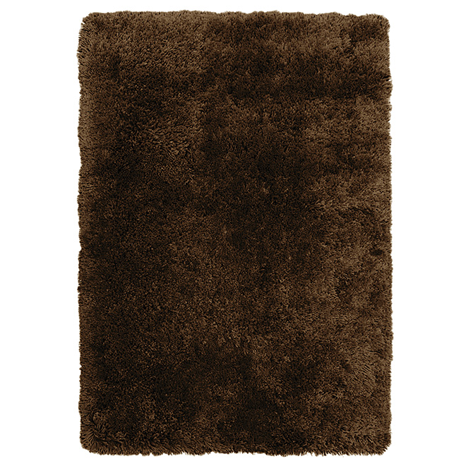 "Plain Shag" Carpet