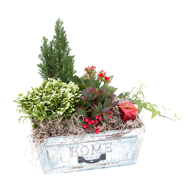 Christmas Arrangement