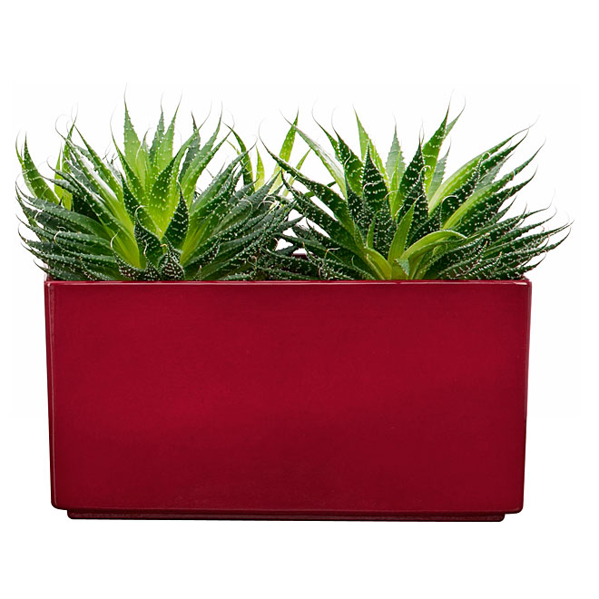 Ceramic Pot Cover Rectangle 25cm - Red