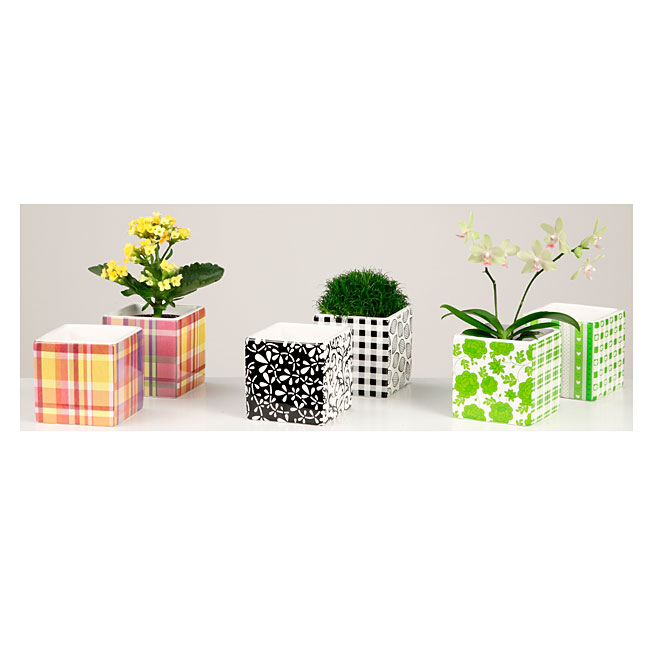 Mini Ceramic Planter Pot - 2.5" - Assorted