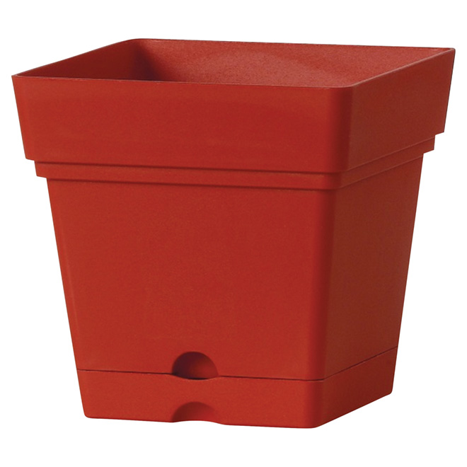Square Planter Pot with Saucer - 7" - Red