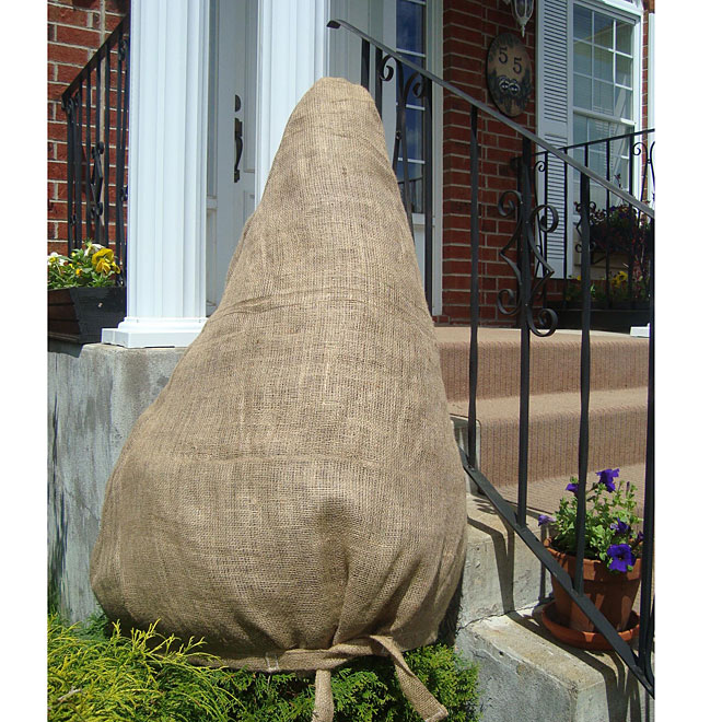 Decorative Burlap