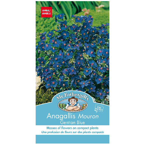Flowers seed packet